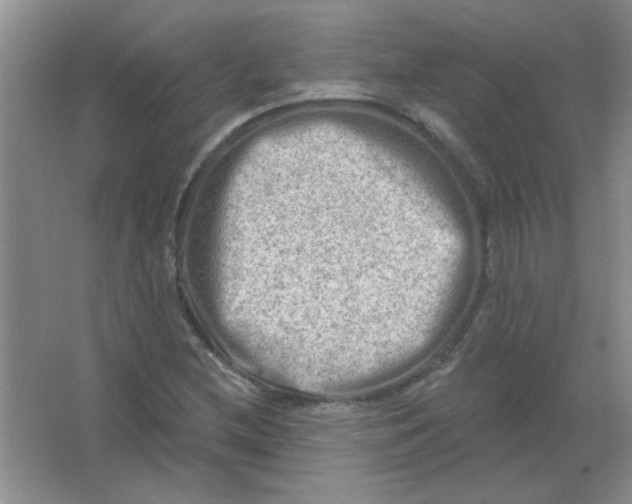 X0000063531212200602102009