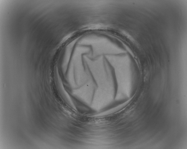 X0000063531213200602102009