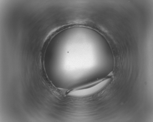 X0000063531214200602102009