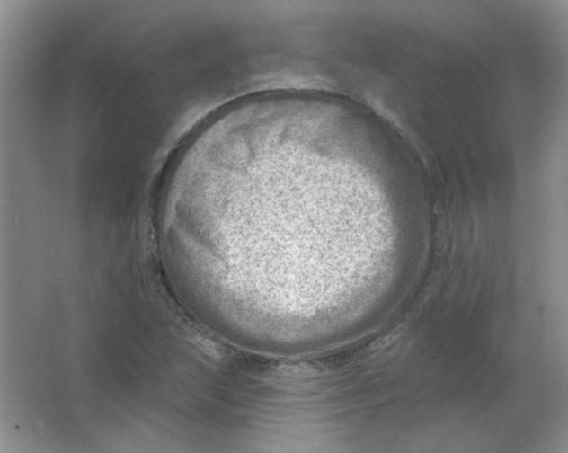 X0000063531215200602102009