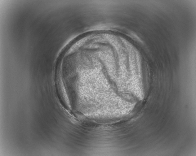 X0000063531216200602102009