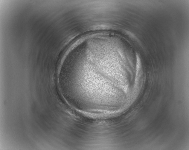 X0000063531217200602102009