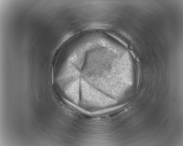 X0000063531219200602102009