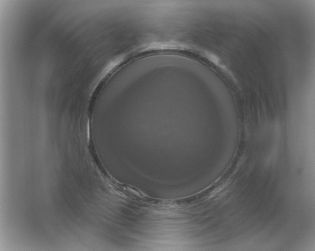 X0000063531221200602102009