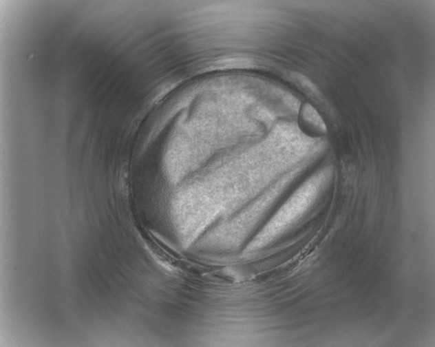 X0000063531225200602102009