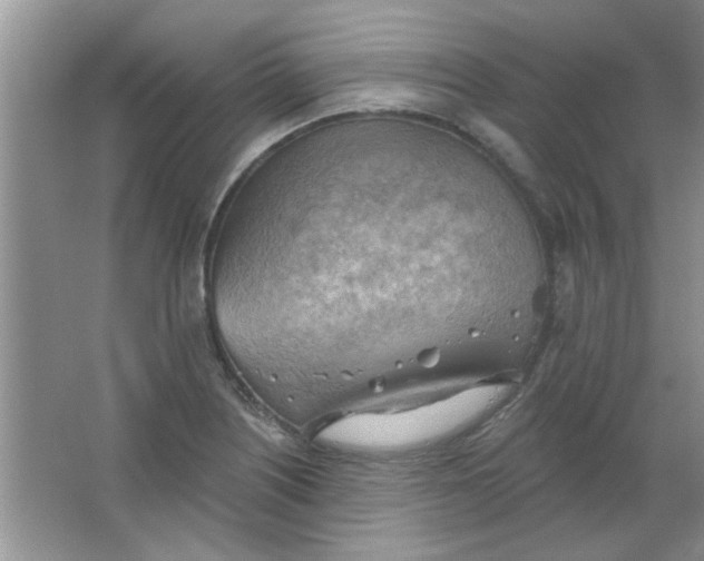 X0000063531226200602102009