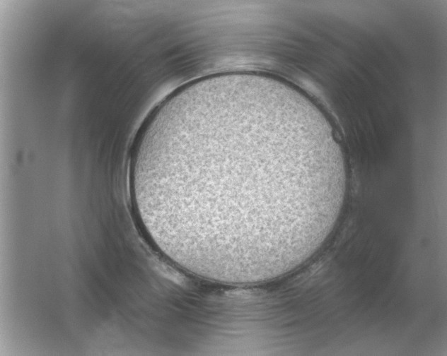 X0000063531227200602102009