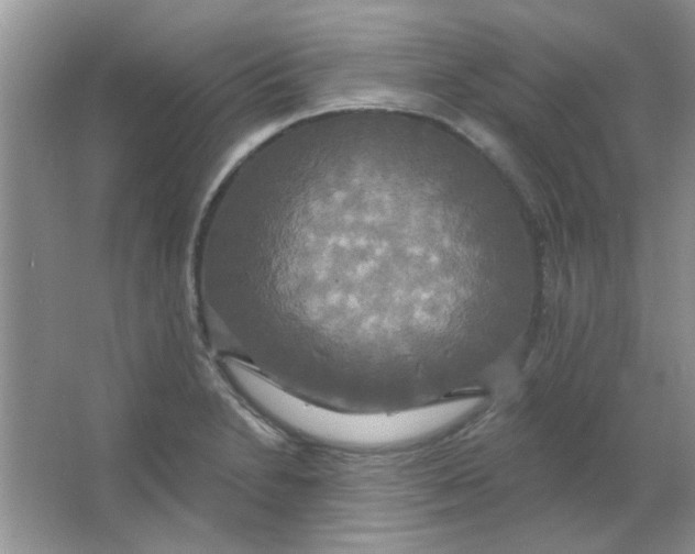 X0000063531230200602102009