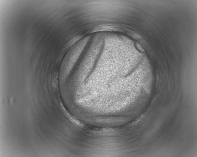 X0000063531233200602102009