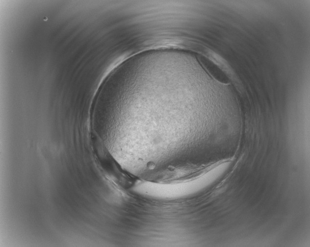 X0000063531234200602102009