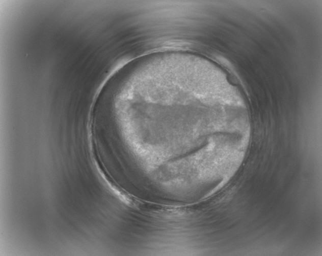 X0000063531235200602102009