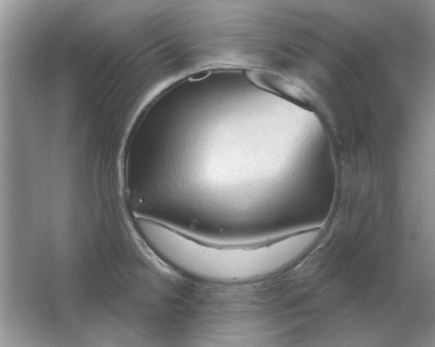 X0000063531238200602102009