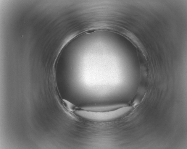 X0000063531242200602102009