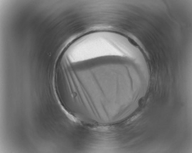 X0000063531245200602102009