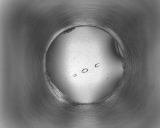 X0000063531246200602102009