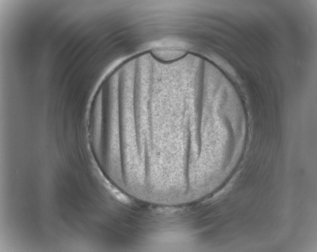 X0000063531248200602102009