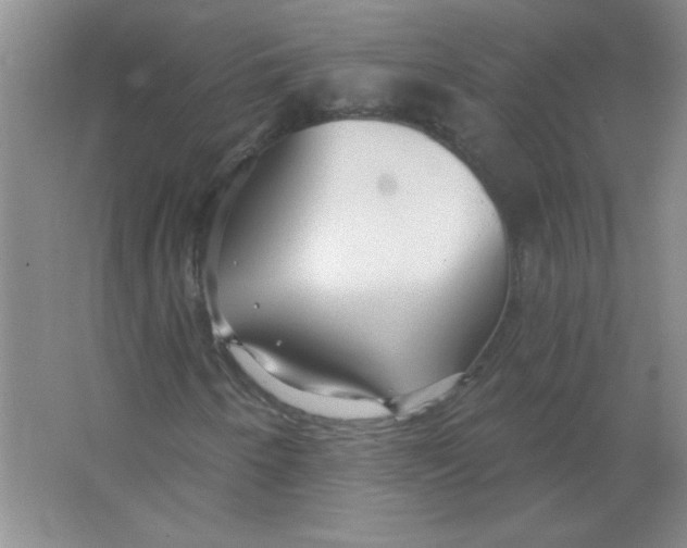 X0000063531250200602102008