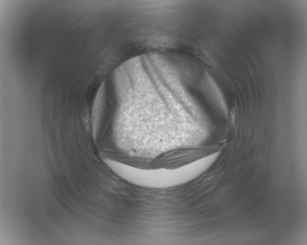 X0000063531251200602102008