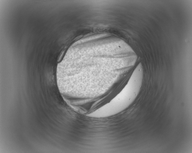 X0000063531252200602102008