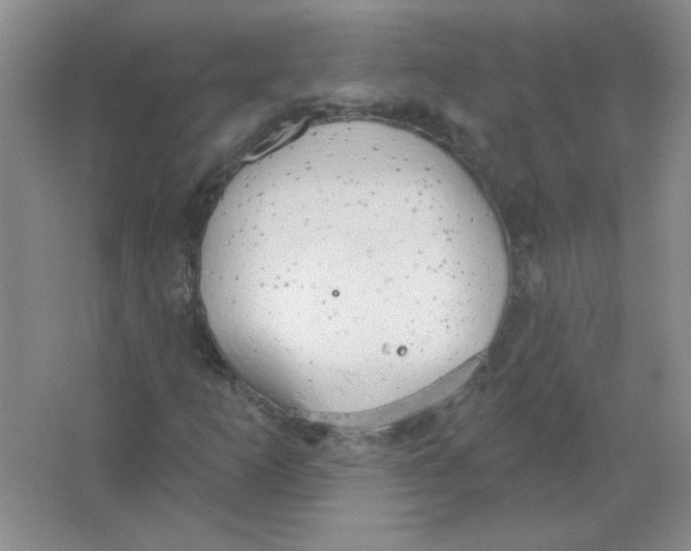 X0000063531253200602102008