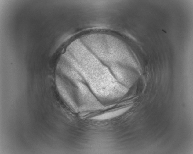 X0000063531255200602102008