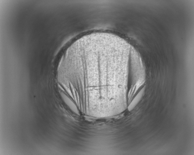 X0000063531256200602102008