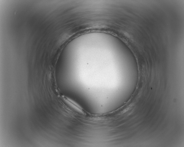 X0000063531257200602102008