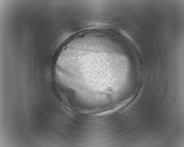 X0000063531259200602102008