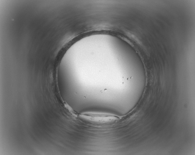 X0000063531261200602102008