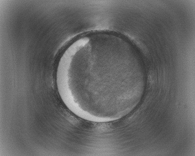 X0000063531262200602102008