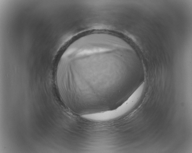 X0000063531263200602102008