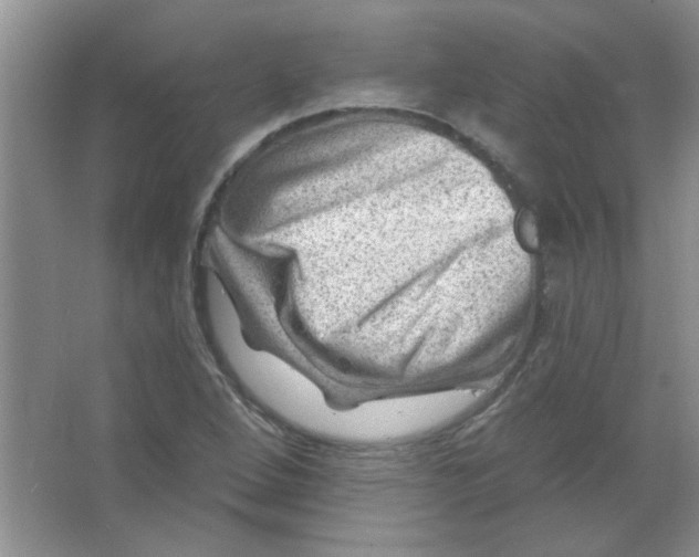 X0000063531264200602102008