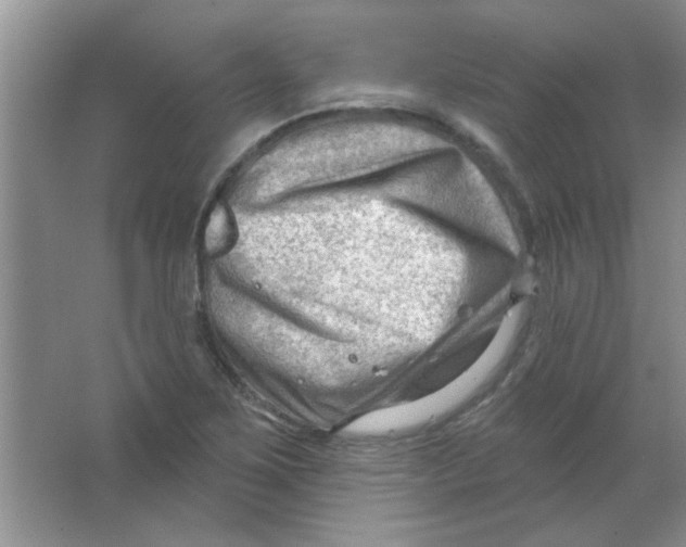 X0000063531267200602102008