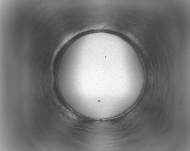 X0000063531270200602102008