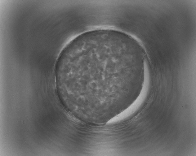 X0000063531271200602102008