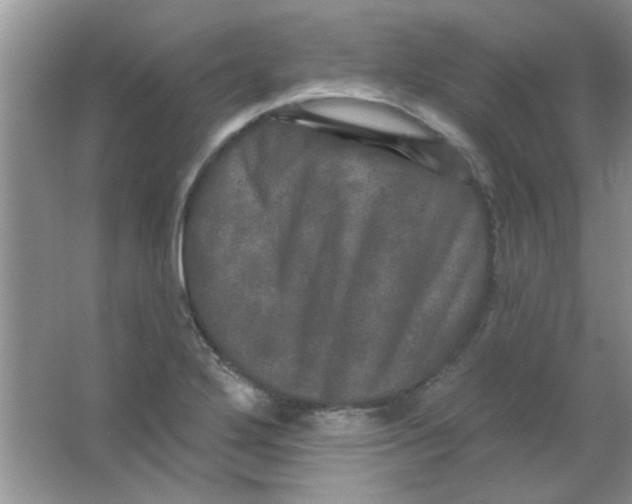 X0000063531272200602102008