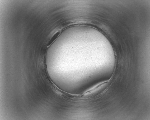 X0000063531273200602102008