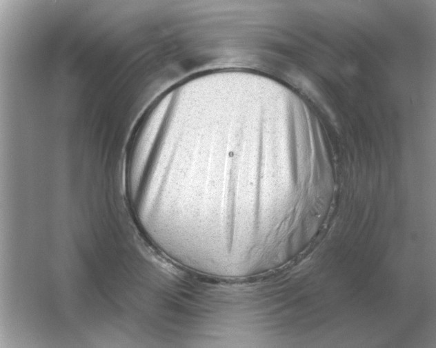 X0000063531276200602102008