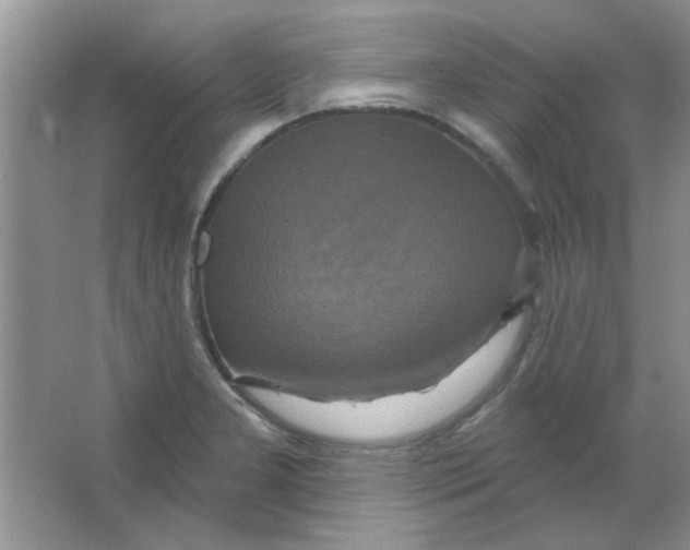 X0000063531277200602102008