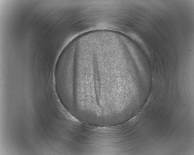 X0000063531280200602102008