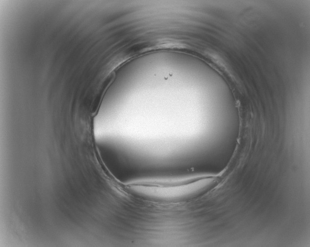 X0000063531281200602102008