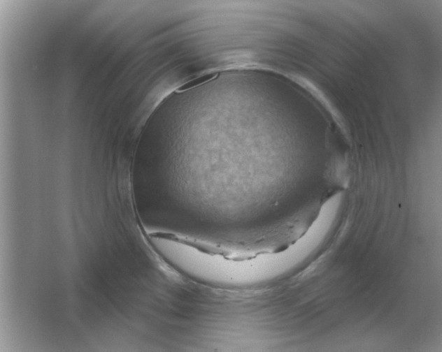 X0000063531289200602102008