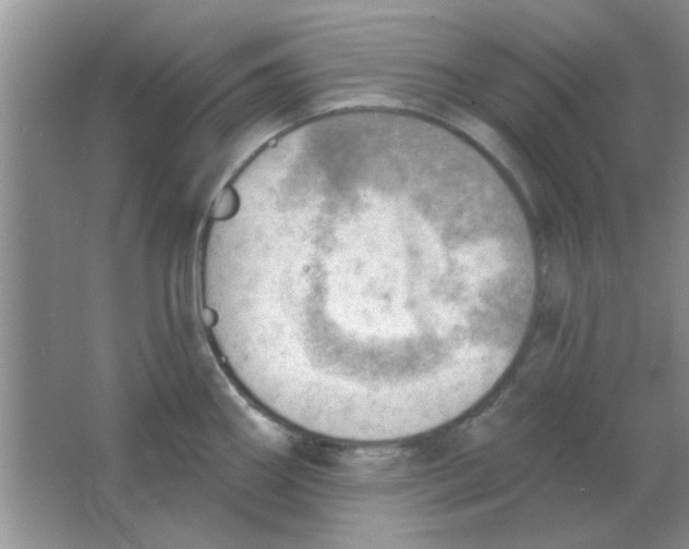 X0000063531290200602102008