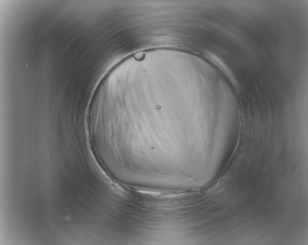 X0000063531291200602102008