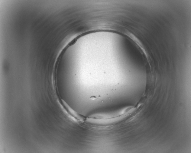 X0000063531293200602102008