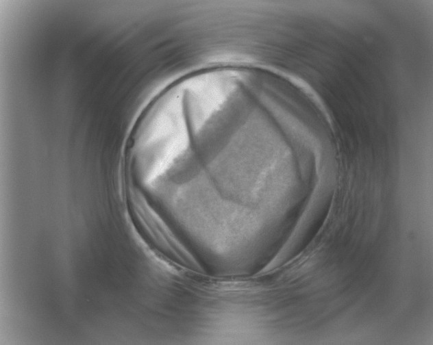 X0000063531295200602102008