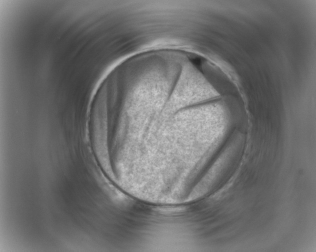 X0000063531296200602102007