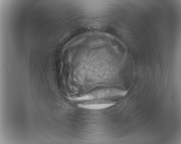 X0000063531297200602102007