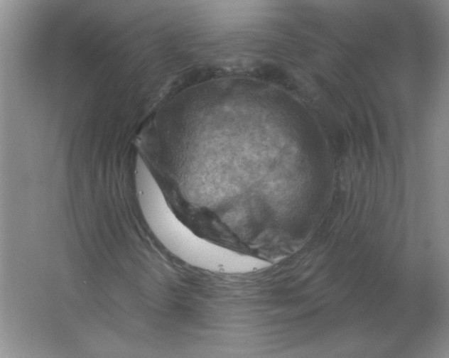 X0000063531298200602102007