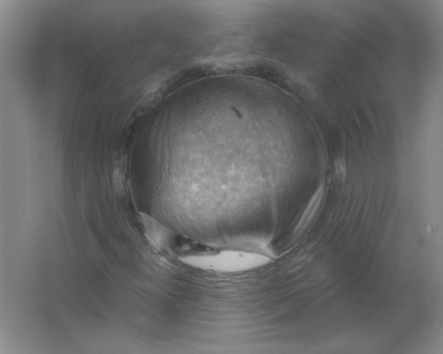 X0000063531300200602102007